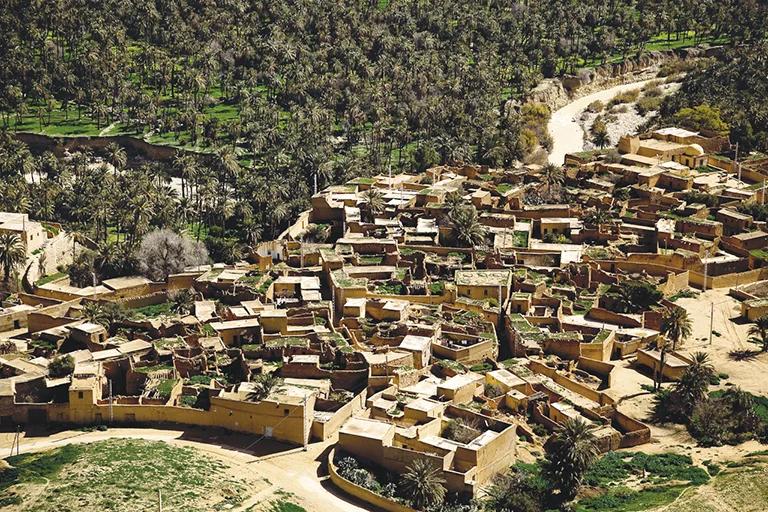 fits-2025-the-international-saharan-tourism-festival_S1xKEVlX