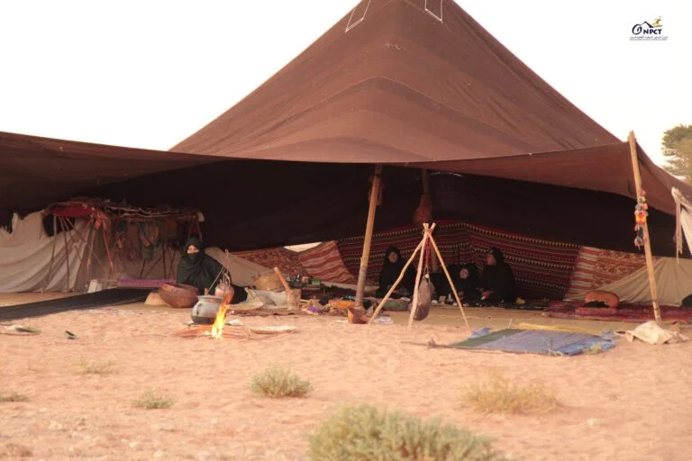 fits-2025-the-international-saharan-tourism-festival_VuyhnoEw