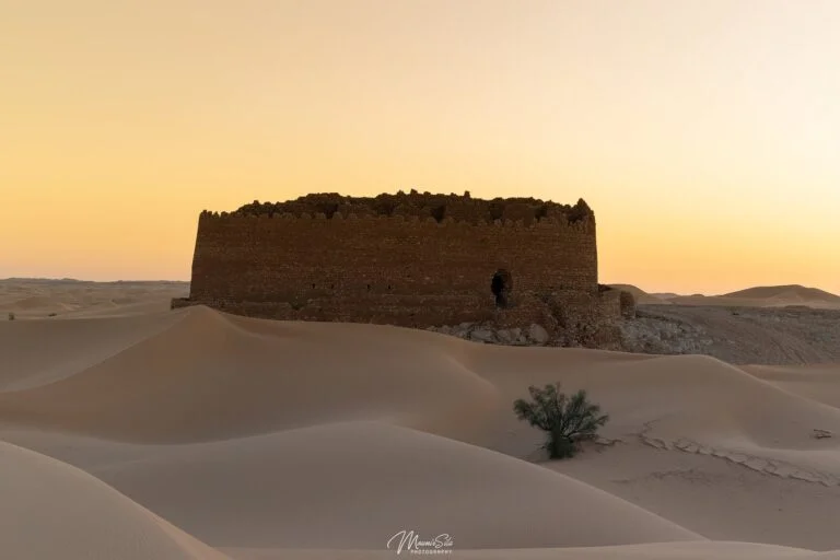 fits-2025-the-international-saharan-tourism-festival_jiGbxRlw